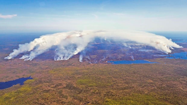 some-ns.-wildfire-evacuees-eligible-for-up-to-$3k-to-support-fire-mitigation-projects