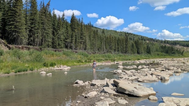 dawson-creek,-bc.,-eyes-$100m-water-pipeline-as-deepening-drought-threatens-drinking-supply