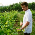 ontario-wine-makers-raise-a-glass-to-newly-expanded-grape-list
