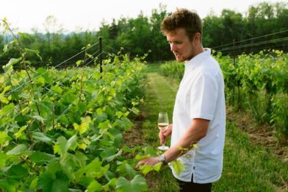 ontario-wine-makers-raise-a-glass-to-newly-expanded-grape-list