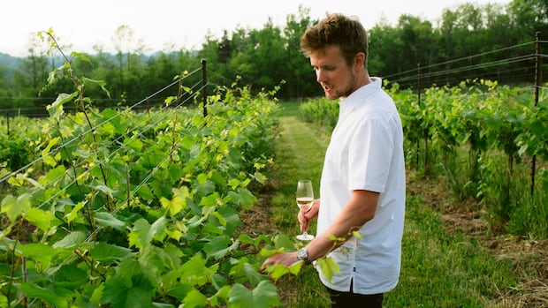 ontario-wine-makers-raise-a-glass-to-newly-expanded-grape-list