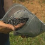 can-charred-wood-help-nova-scotia-farmers-and-the-climate?