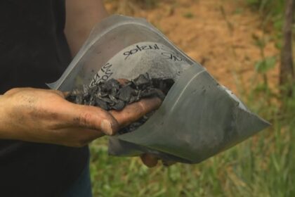can-charred-wood-help-nova-scotia-farmers-and-the-climate?