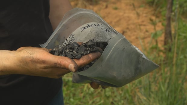 can-charred-wood-help-nova-scotia-farmers-and-the-climate?