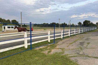harness-racing-returns-to-woodstock-after-7-week-pause-due-to-fatality-at-the-track