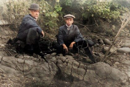 fossil-discovered-over-100-years-ago-in-fernie,-bc.,-identified-as-new-species