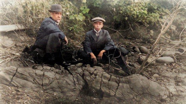 fossil-discovered-over-100-years-ago-in-fernie,-bc.,-identified-as-new-species
