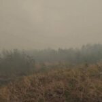 thousands-to-flee-first-nation-in-northern-manitoba-over-wildfire-threat