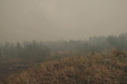 thousands-to-flee-first-nation-in-northern-manitoba-over-wildfire-threat