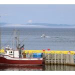 letter:-manage-the-ocean-for-what-it-can-produce,-not-what-we-can-catch