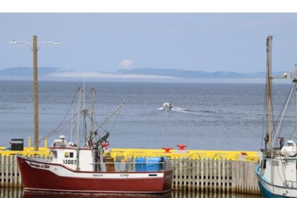 letter:-manage-the-ocean-for-what-it-can-produce,-not-what-we-can-catch