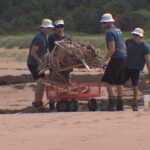 beach-cleanup-crews-in-pei.-want-to-hear-from-you