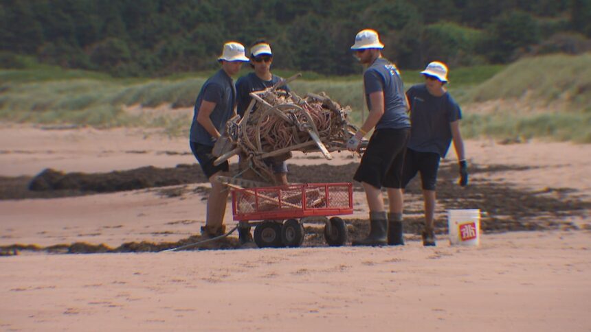 beach-cleanup-crews-in-pei.-want-to-hear-from-you