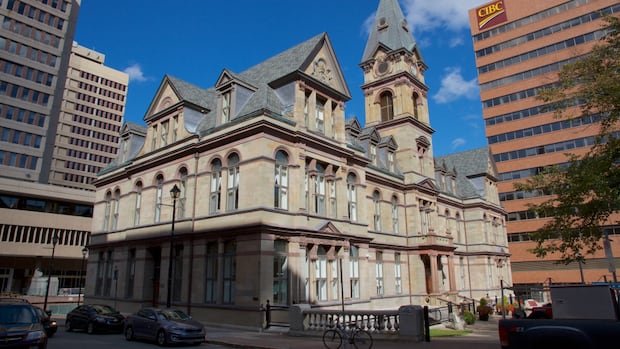 what-strong-mayor-powers-could-mean-for-ns.-government-and-why-they-might-be-granted