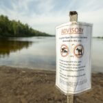 blue-green-algae-is-making-a-home-in-the-warming-waters-of-lake-superiors-watershed