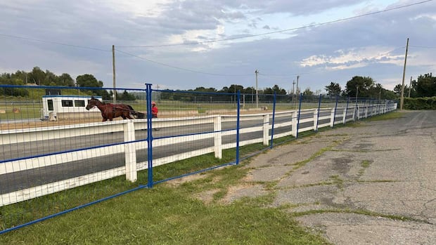 harness-racing-returns-to-woodstock-7-weeks-after-child’s-death-at-track
