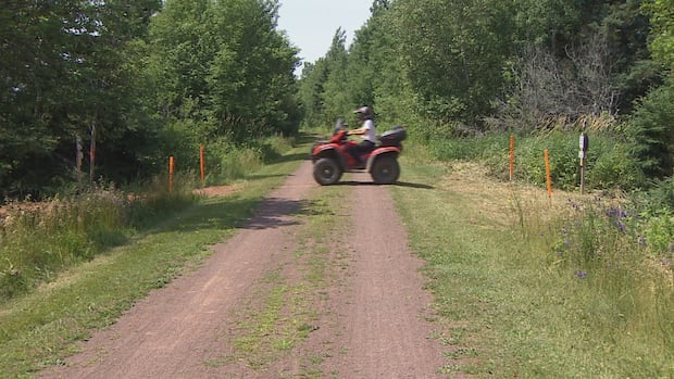 ns.-bans-hiking-and-use-of-vehicles-in-woods-as-dry-conditions-raise-wildfire-fears