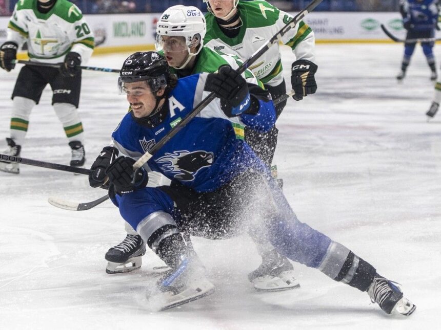 antigonish’s-tyler-peddle-joins-younger-brother-brady-in-charlottetown-after-trade-from-sea-dogs
