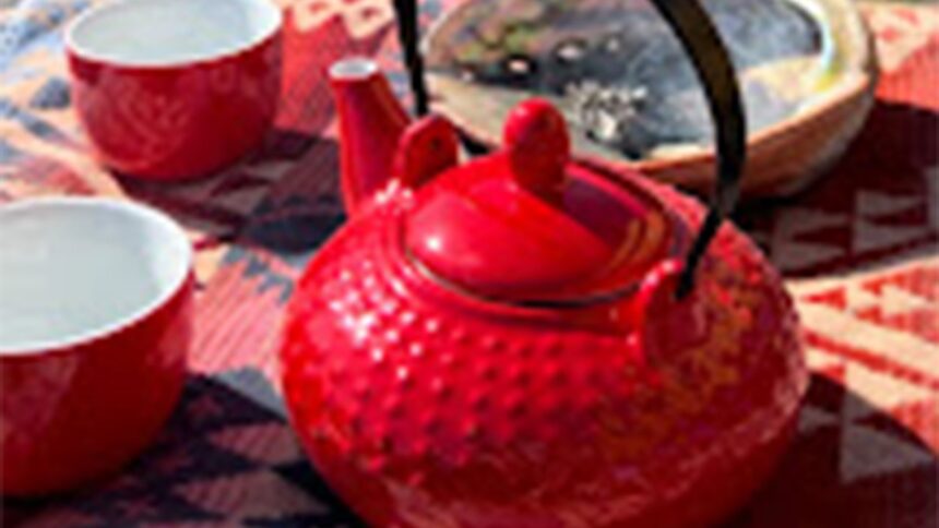 a-red-teapot-and-a-camera-is-turning-silence-into-anishinaabemowin-language-in-onigaming