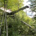 pilot-of-small-plane-that-crashed-near-ottawa-airport-identified