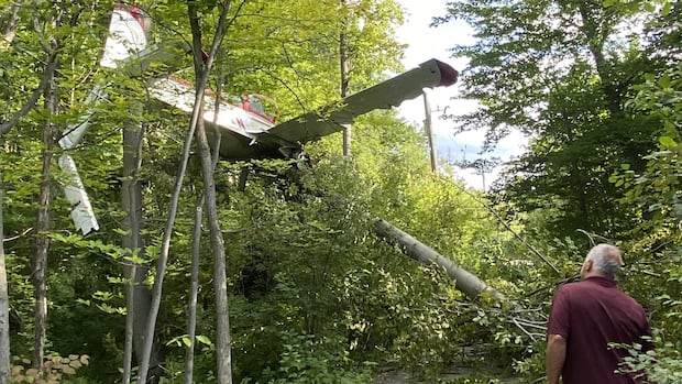 pilot-of-small-plane-that-crashed-near-ottawa-airport-identified