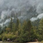 wesley-ridge-wildfire-on-vancouver-island-shows-minimal-growth,-wildfire-service-says