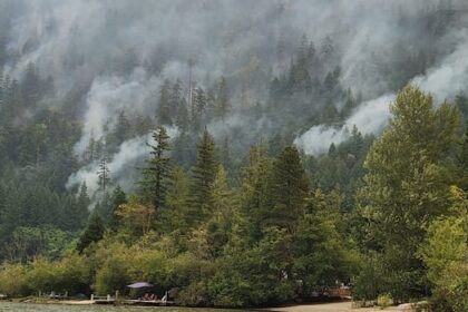 wesley-ridge-wildfire-on-vancouver-island-shows-minimal-growth,-wildfire-service-says