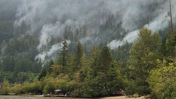 wesley-ridge-wildfire-on-vancouver-island-shows-minimal-growth,-wildfire-service-says