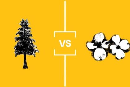 search-for-bc.’s-best-symbol:-nature-championship