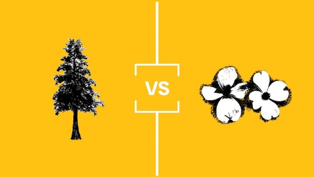 search-for-bc.’s-best-symbol:-nature-championship
