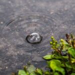 some-rain-not-a-lot-on-the-way-as-northern-manitoba-fire-threatened-communities-remain-on-edge