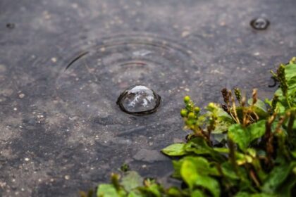 some-rain-not-a-lot-on-the-way-as-northern-manitoba-fire-threatened-communities-remain-on-edge