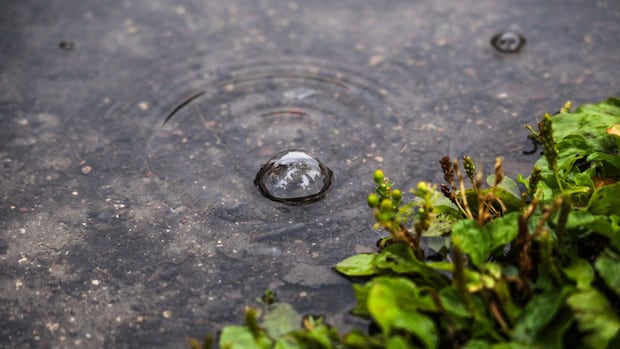 some-rain-not-a-lot-on-the-way-as-northern-manitoba-fire-threatened-communities-remain-on-edge