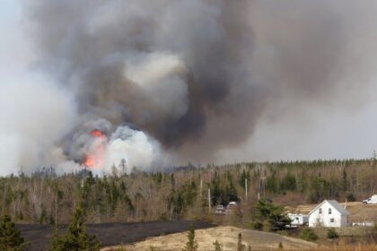 nova-scotia’s-woods-travel-ban:-what-does-it-really-mean?
