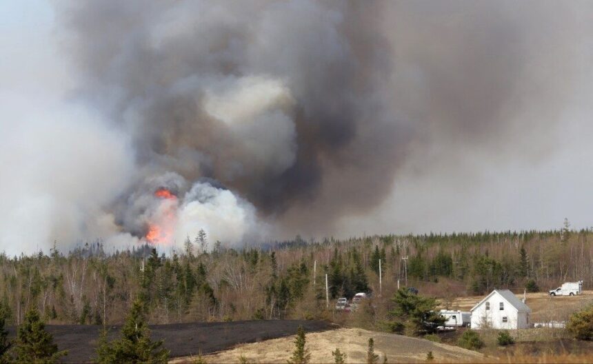 nova-scotia’s-woods-travel-ban:-what-does-it-really-mean?