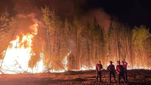 sask.-wildland-firefighters-receive-presumptive-cancer-coverage