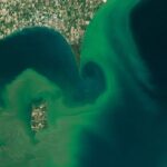 what’s-slimy,-green-and-flourishing-thanks-to-climate-change?