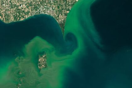 what’s-slimy,-green-and-flourishing-thanks-to-climate-change?
