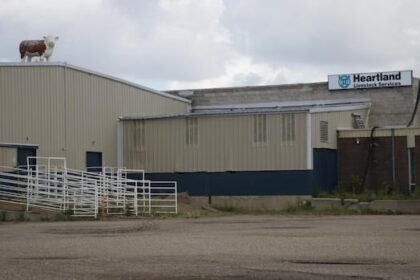 brandon’s-urban-cattle-auction-mart-shuts-down-after-decades-in-operation