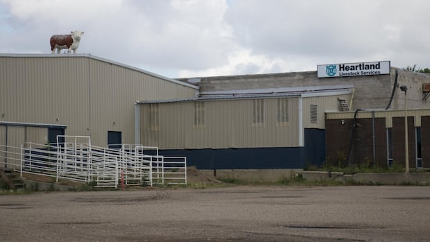 brandon’s-urban-cattle-auction-mart-shuts-down-after-decades-in-operation