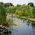some-eastern-ontario-regions-asked-to-save-water-amid-near-drought