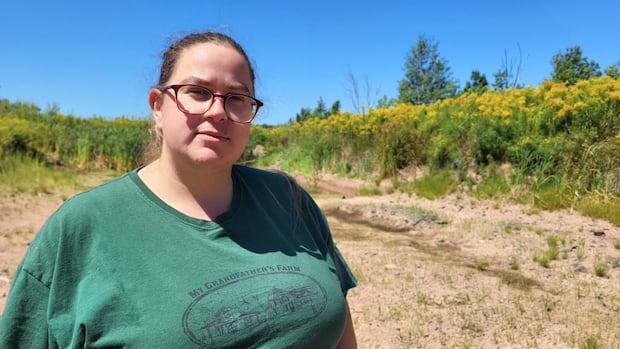 ns.-crops-withering-in-dry-conditions,-hitting-farmers-in-the-pocketbook