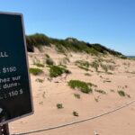 people-reminded-to-keep-off-sand-dunes-in-pei.-national-park-amid-record-visitation