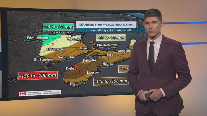 how-dry-is-it-in-nova-scotia?-meteorologist-ryan-snoddon-explains