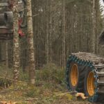 drought-driven-restrictions-impacting-ns.-woodlot-owners