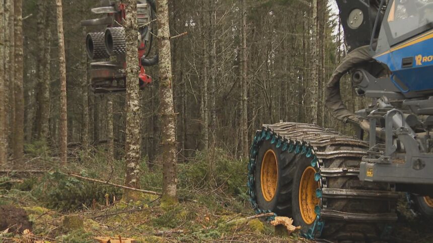 drought-driven-restrictions-impacting-ns.-woodlot-owners