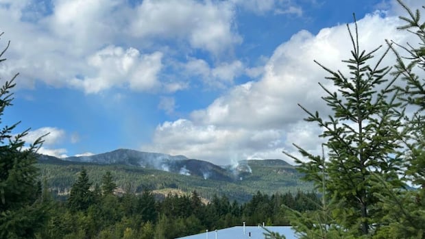 rain-gives-reprieve-in-bc.-wildfire-fight,-but-challenging-days-ahead,-wildfire-service-says