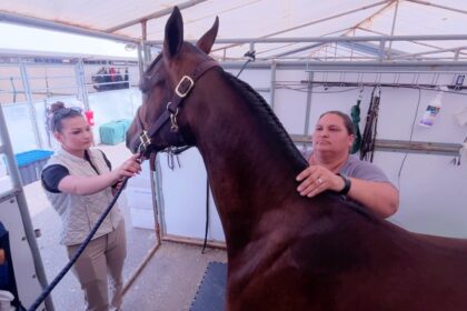 3-generations-team-up-for-canadas-national-arabian-championship-in-brandon