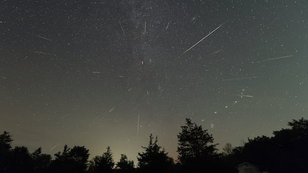 attention-stargazers!-it’s-time-for-one-of-the-best-meteor-showers-of-the-year-the-perseids