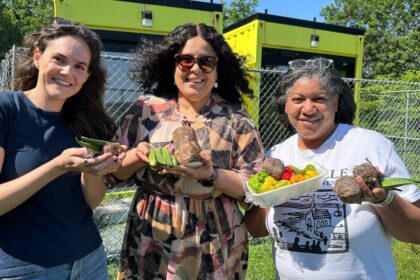 hydroponic-farm-project-launching-at-africville-look-off